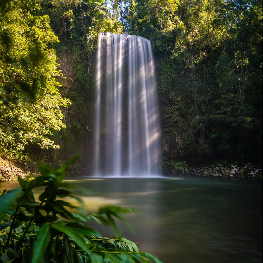 Millaa Milla Falls in the Northerb Queensland rainforest