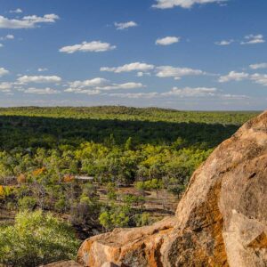 View on the endless bush land in the Undara Volcanic National Park in Queensland, Australia