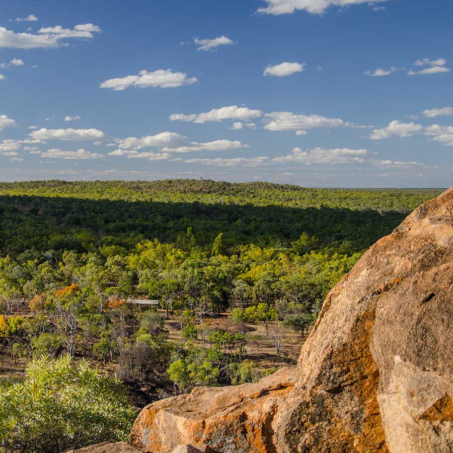 View on the endless bush land in the Undara Volcanic National Park in Queensland, Australia