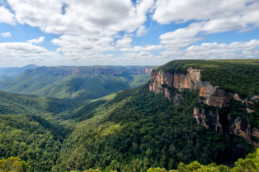 Valley in the Blue Mountains, New South Wales Australia